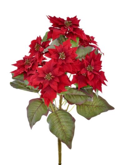 POINSECJA BUKIET VELVET 64CM SUN613 RUBIN
