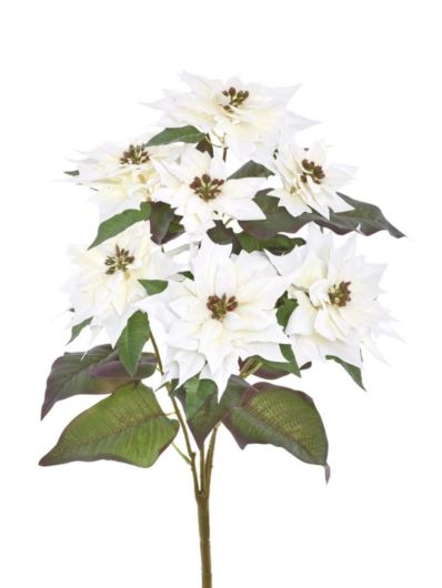 POINSECJA BUKIET VELVET 64CM SUN613 WHITE