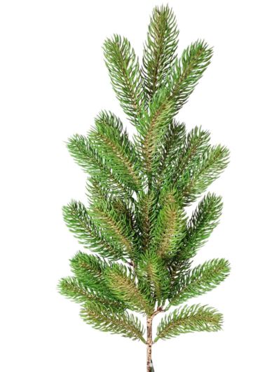 ŚWIERK GAŁĄZKA 62CM CV37528 NATURAL GREEN