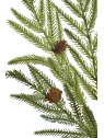 ŚWIERKOWA GAŁĄZKA NORFOLK 48CM XYD038 GREEN