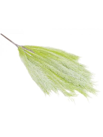 ARAUCARIA BUKIET ELASTYCZNY 54CM POWDER GREEN