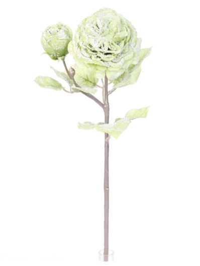 RÓŻA ANGIELSKA OŚNIEŻONA 47CM GREEN SNOW