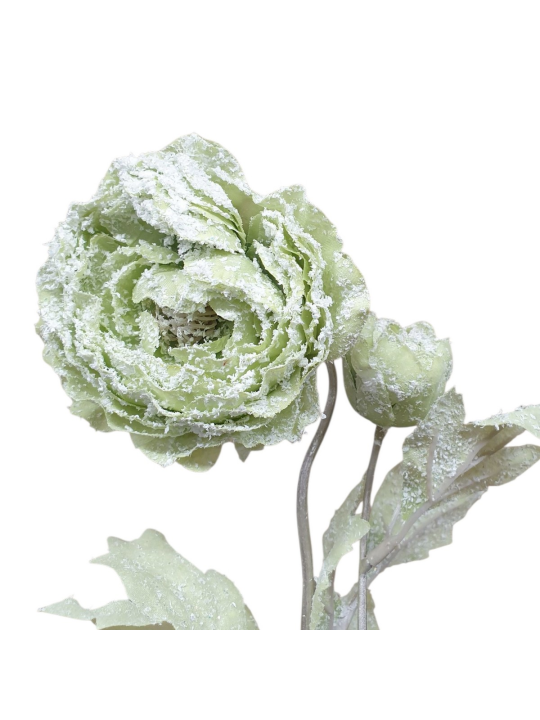 PEŁNIK RANUNCULUS OŚNIEŻONY 47CM GREEN SNOW