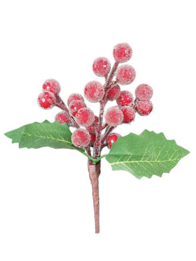 OSTROKRZEW OWOCE FROZEN MICRO BALLS 17CM RED