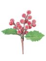 OSTROKRZEW OWOCE FROZEN MICRO BALLS 17CM RED