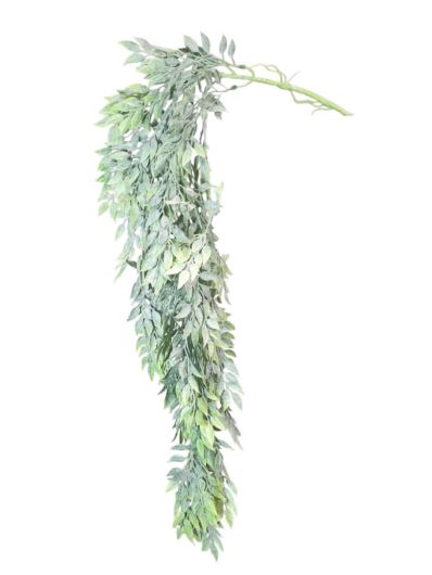 RUSKUS ZWIS 80CM POWDERED GREEN