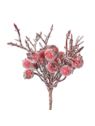 OWOCE PATYCZKI 15CM PICK ICY RED