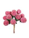 MALINY JEŻYNY PICK 11CM WIĄZKA X12 ICED RASPBERRY
