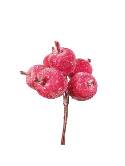 JABŁUSZKA PICK 12CM WIĄZKA X6 ICED RED