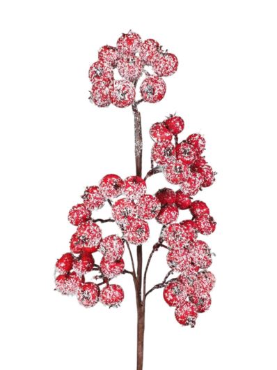 GŁÓG GAŁĄZKA 43CM RED SNOW