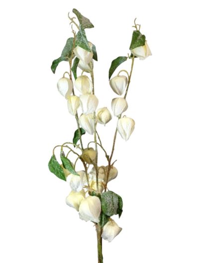 MIECHUNKA GAŁĄZKA x1 90CM FROZEN CREAM GREEN