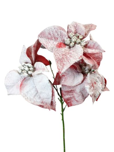 GWIAZDA BETLEJEMSKA GAŁĄZKA 58CM RED SNOW