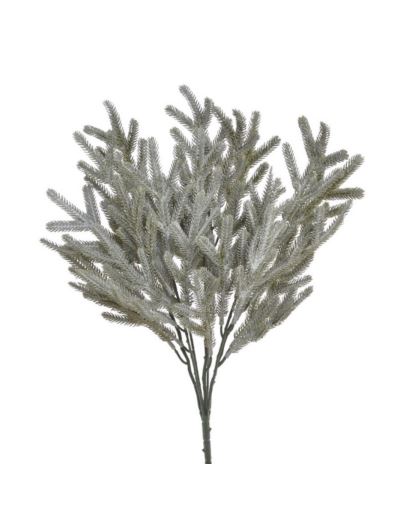 Ośnieżona gałązka z szyszkami