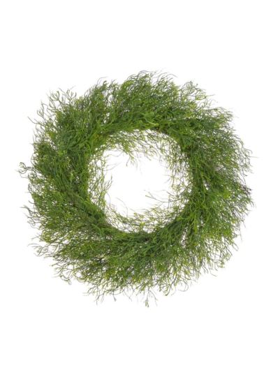 WIANEK TUJA 65CM GREEN