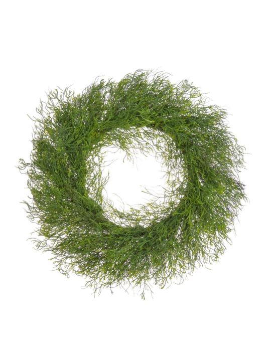 WIANEK TUJA 65CM GREEN