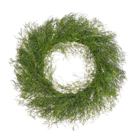 WIANEK TUJA 65CM GREEN