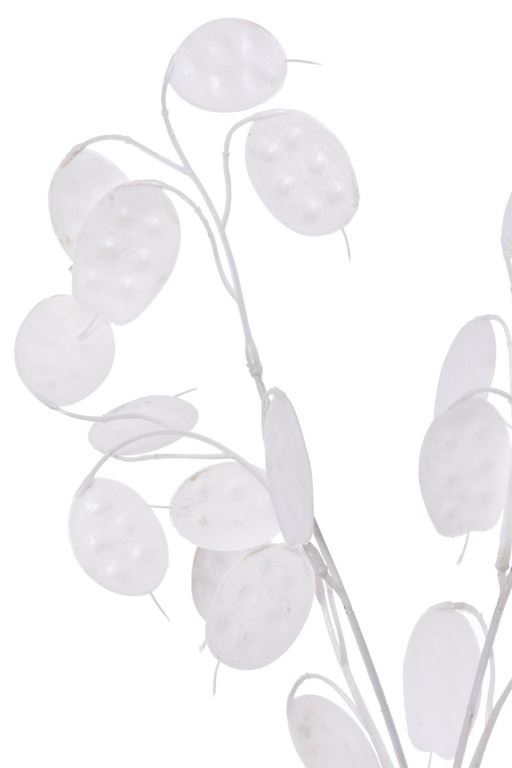 LUNARIA – TALARKI GAŁĄZKA 75CM XTIK068 WHITE