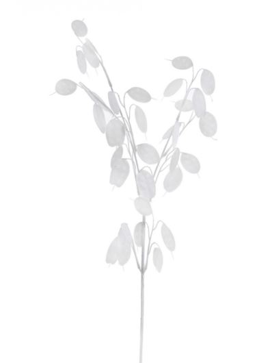 LUNARIA – TALARKI GAŁĄZKA 75CM XTIK068 WHITE