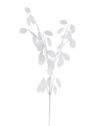 LUNARIA – TALARKI GAŁĄZKA 75CM XTIK068 WHITE