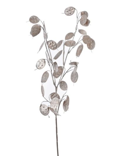LUNARIA – TALARKI GAŁĄZKA 75CM XTIK068 CHAMPAGNE