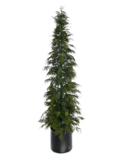 TUJA W DONICY XYD005 210CM GREEN