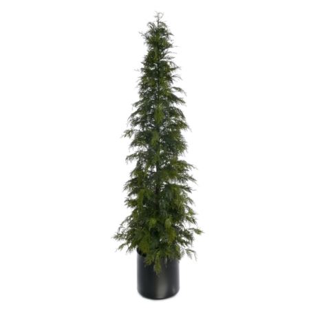 TUJA W DONICY XYD005 210CM GREEN