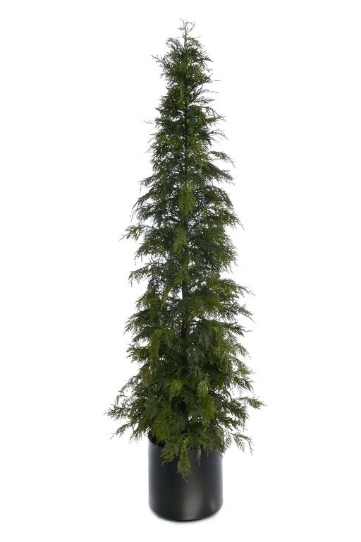 TUJA W DONICY XYD005 210CM GREEN