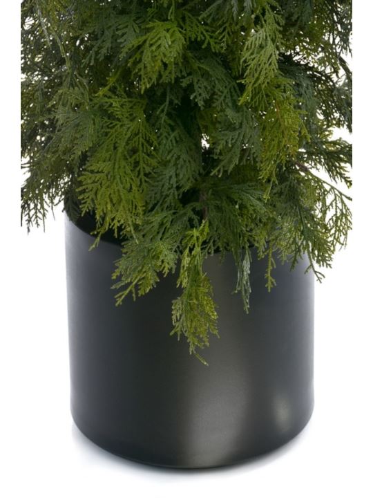 TUJA W DONICY XYD005 210CM GREEN