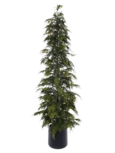 TUJA W DONICZCE 180CM XYD006  GREEN