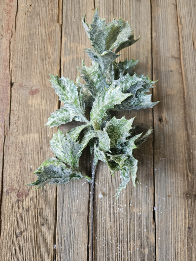 OSTROKRZEW GAŁĄZKA SZRON-BROKAT 42CM GREEN FROST