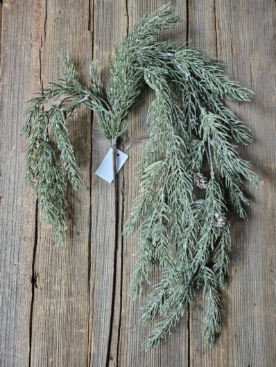 ŚWIERK ZWISAJĄCY Z SZYSKAMI 60CM  WHITE GREEN