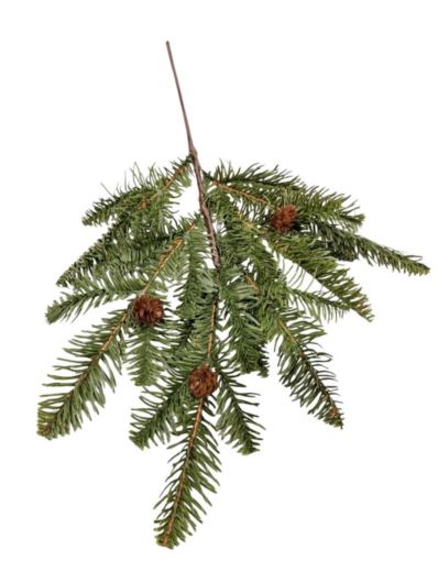 ŚWIERK Z SZYSZKAMI GAŁĄZKA 45CM RT GREEN