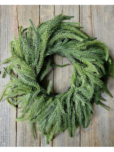 WIANEK SOSNA NORFOLK 40CM RT GREEN