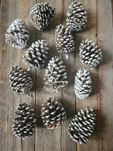 SZYSZKA BIELONA OD 8CM DO 12CM 12SZT/OP. WH BROWN