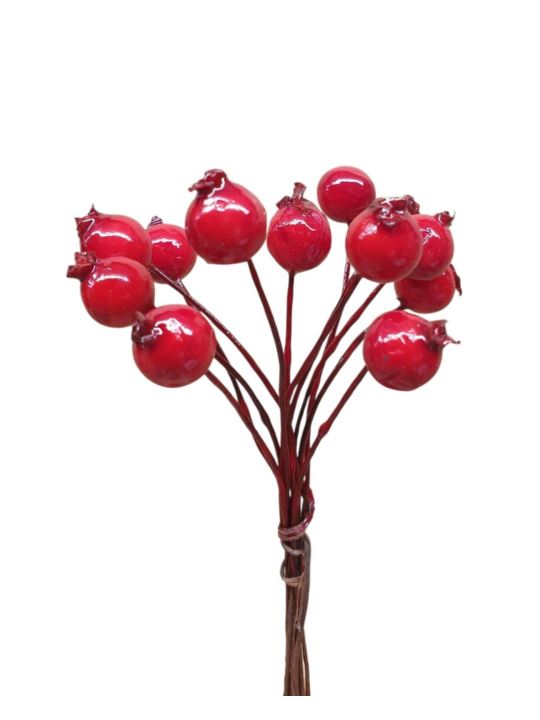 JARZĘBINA GŁÓG ŚR.1.3CM 12 PIK x 24 RED