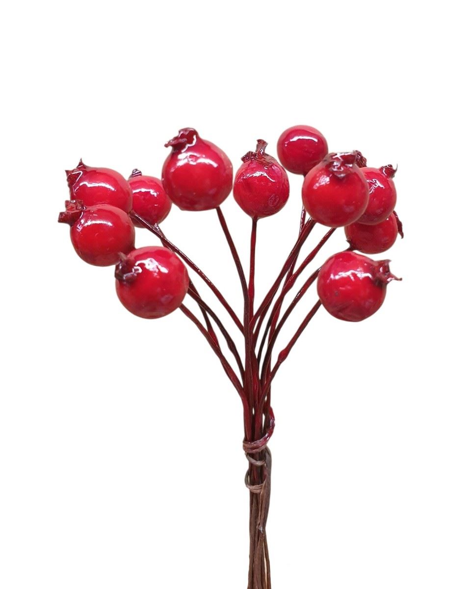 JARZĘBINA GŁÓG ŚR.1.3CM 12 PIK x 24 RED