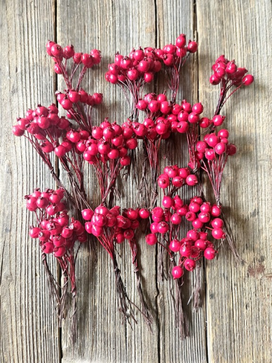 JARZĘBINA GŁÓG ŚR.1CM 12 PIK x 24  RED