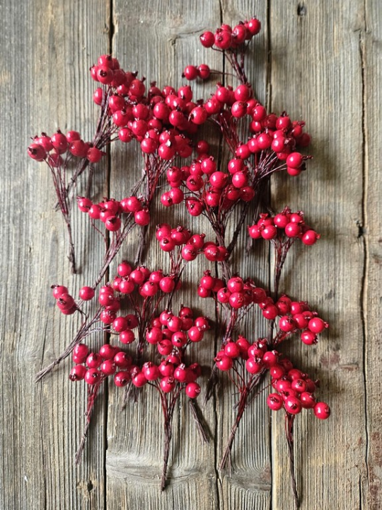 JARZĘBINA GŁÓG ŚR.1.3CM 12 PIK x 24 RED