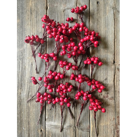 JARZĘBINA GŁÓG ŚR.1.3CM 12 PIK x 24 RED