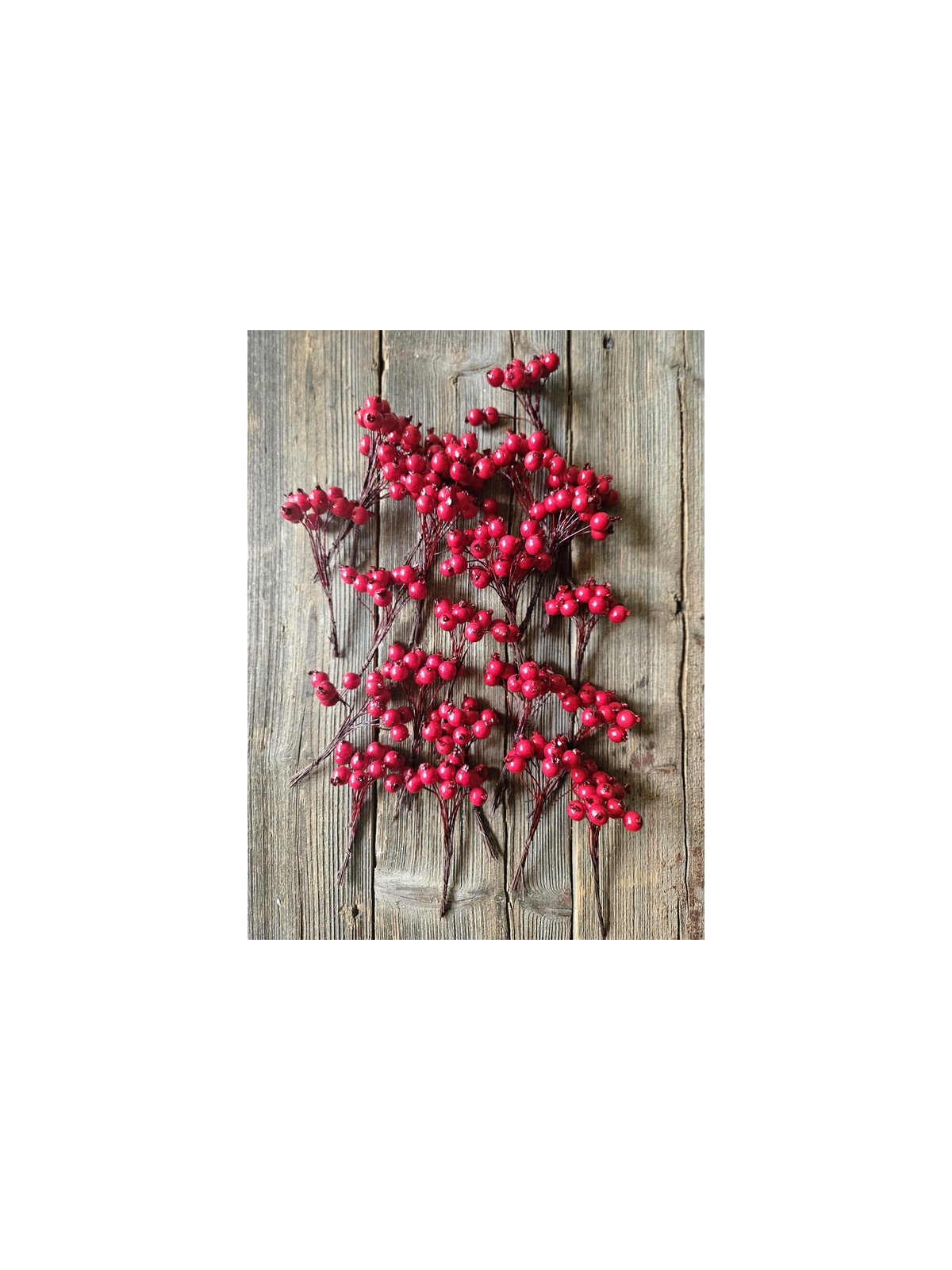 JARZĘBINA GŁÓG ŚR.1.3CM 12 PIK x 24 RED