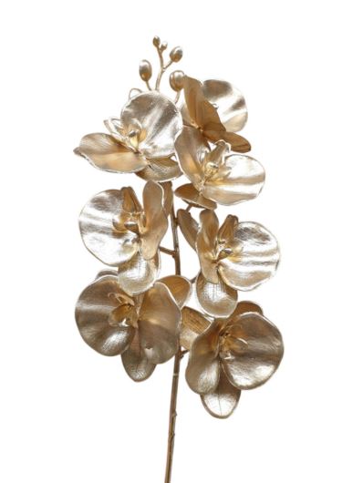 STORCZYK PHALENOPSIS 60CM METALIC GOLD