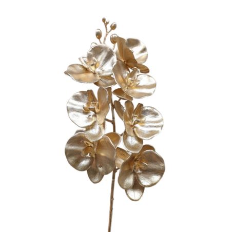 STORCZYK PHALENOPSIS 60CM METALIC GOLD