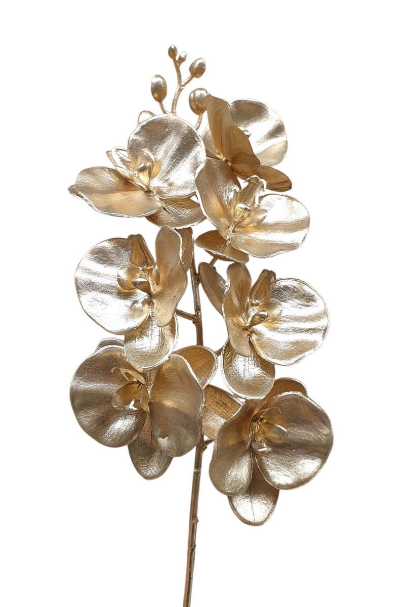 STORCZYK PHALENOPSIS 60CM METALIC GOLD