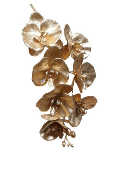 STORCZYK PHALENOPSIS 60CM METALIC GOLD