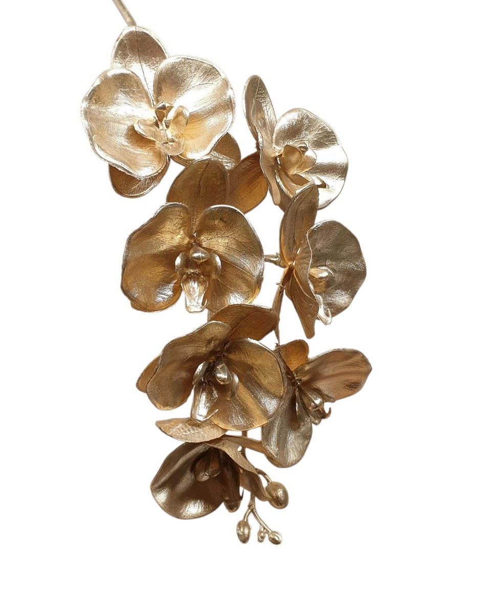 STORCZYK PHALENOPSIS 60CM METALIC GOLD