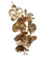 STORCZYK PHALENOPSIS 60CM METALIC GOLD