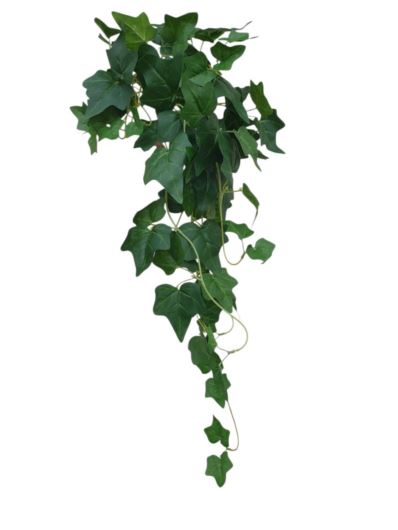 HEDERA BLUSZCZ ZWIS 67CM GREEN