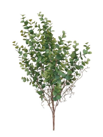 EUKALIPTUS BUKIET 60CM POWDER GREEN