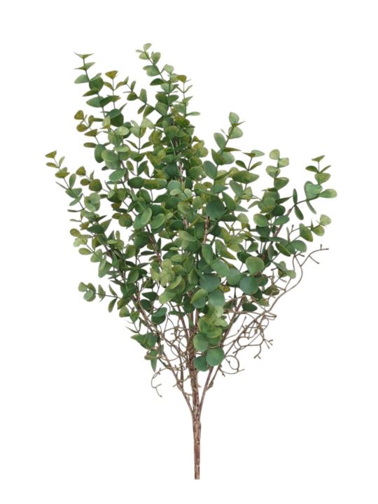 EUKALIPTUS BUKIET 60CM POWDER GREEN