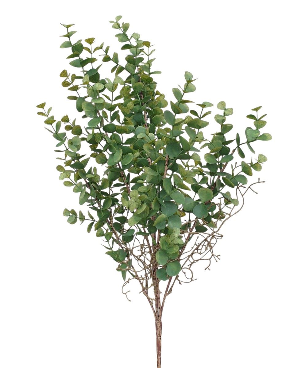 EUKALIPTUS BUKIET 60CM POWDER GREEN
